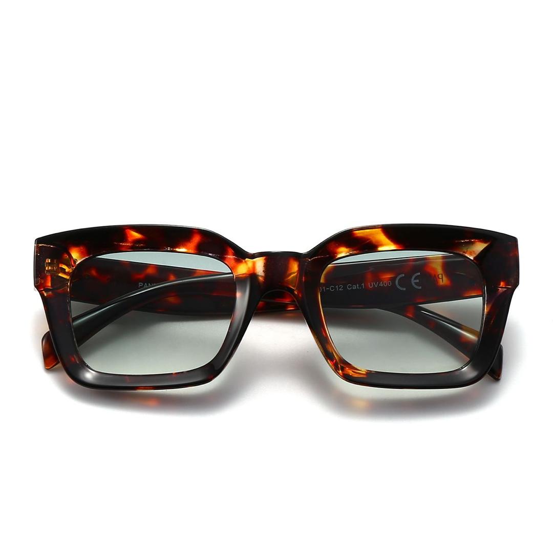 Massive / Tortoise Dark Green Smoke