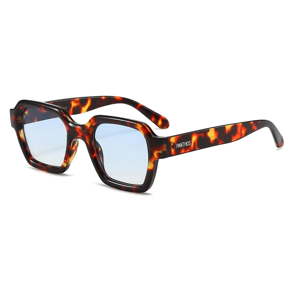 Bold / Tortoise Gradient Blue